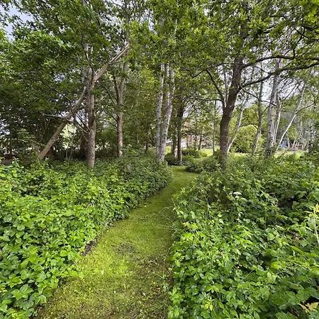 Lille Morsholt, In The Middle Of Nature Odder